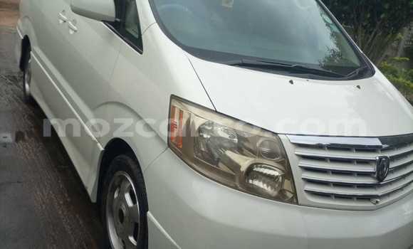 Tenga Tsaru Toyota Alphard Chena Mota in Maputo in Maputo Tenga Tsaru Toyota Alphard Chena Mota in Maputo in Maputo