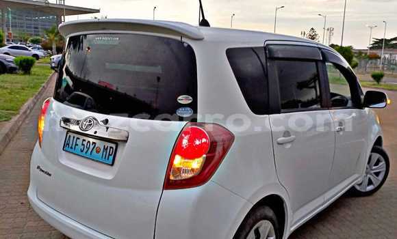 Tenga Tsaru Toyota Ractis Chena Mota in Maputo in Maputo Tenga Tsaru Toyota Ractis Chena Mota in Maputo in Maputo