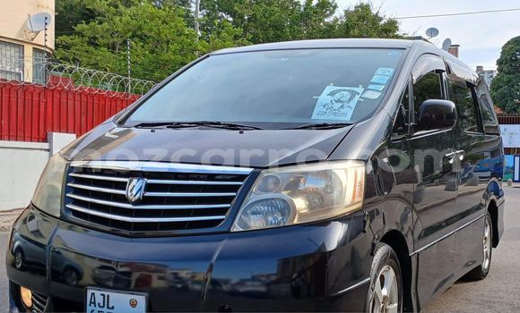 Buy Used Toyota Alphard Black Car in Maputo in Maputo Buy Used Toyota Alphard Black Car in Maputo in Maputo