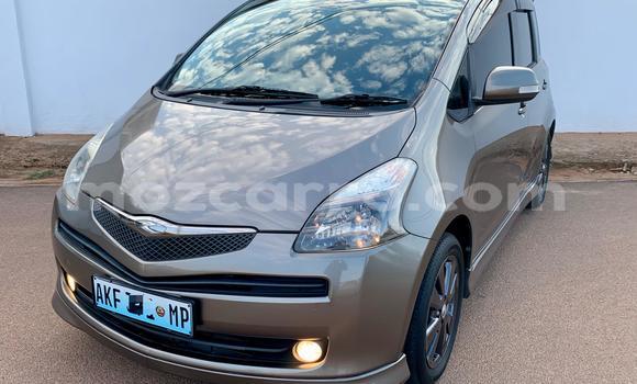 Comprar Usado Toyota Ractis Castanho Carro em Maputo em Maputo Comprar Usado Toyota Ractis Castanho Carro em Maputo em Maputo