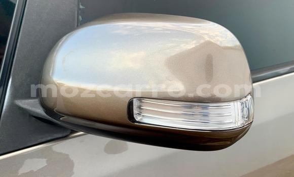Buy Used Toyota Ractis Brown Car in Maputo in Maputo Buy Used Toyota Ractis Brown Car in Maputo in Maputo