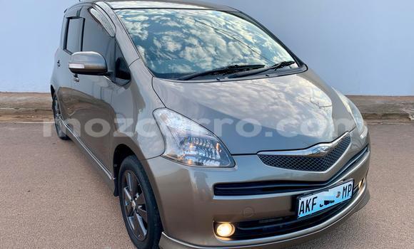 Buy Used Toyota Ractis Brown Car in Maputo in Maputo Buy Used Toyota Ractis Brown Car in Maputo in Maputo