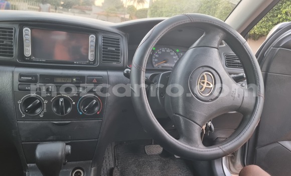 Nunua Ilio tumika Toyota Runx Fedha Gari ndani ya Maputo nchini Maputo Nunua Ilio tumika Toyota Runx Fedha Gari ndani ya Maputo nchini Maputo
