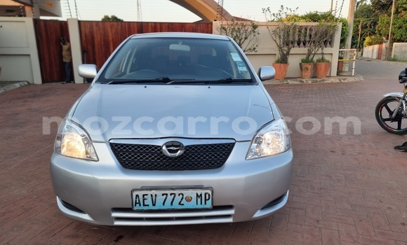 Nunua Ilio tumika Toyota Runx Fedha Gari ndani ya Maputo nchini Maputo Nunua Ilio tumika Toyota Runx Fedha Gari ndani ya Maputo nchini Maputo