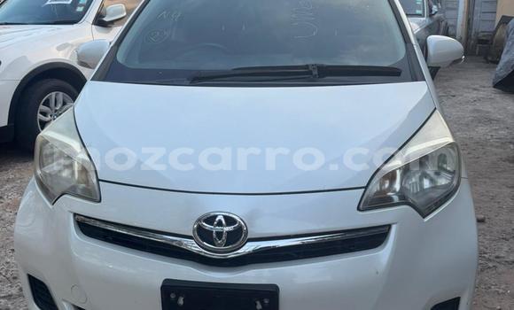 Tenga Tsaru Toyota Ractis Chena Mota in Maputo in Maputo Tenga Tsaru Toyota Ractis Chena Mota in Maputo in Maputo