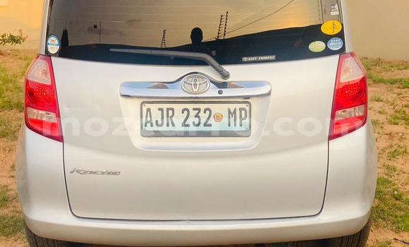 Tenga Tsaru Toyota Ractis Sirivha Mota in Maputo in Maputo Tenga Tsaru Toyota Ractis Sirivha Mota in Maputo in Maputo