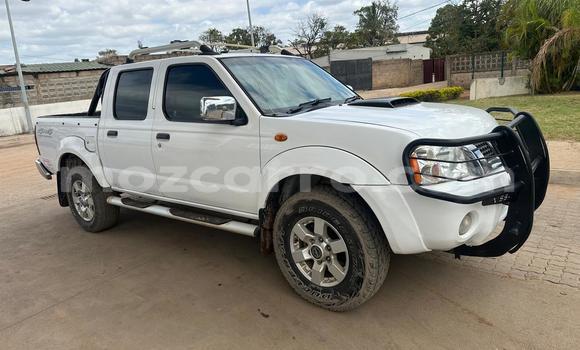 Buy Used Nissan Hardbody White Car in Maputo in Maputo Buy Used Nissan Hardbody White Car in Maputo in Maputo
