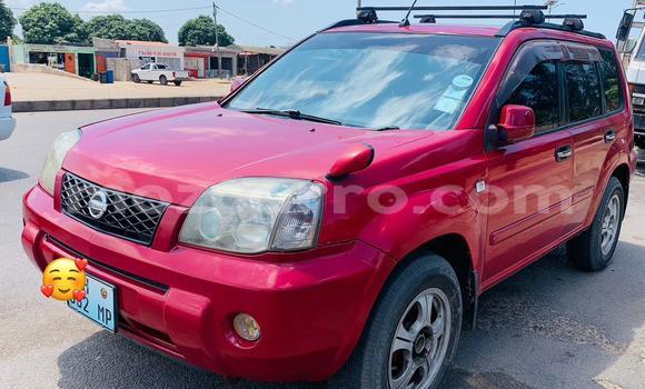 Buy Used Nissan X-Trail Red Car in Maputo in Maputo Buy Used Nissan X-Trail Red Car in Maputo in Maputo
