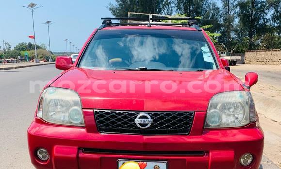 Buy Used Nissan X-Trail Red Car in Maputo in Maputo Buy Used Nissan X-Trail Red Car in Maputo in Maputo