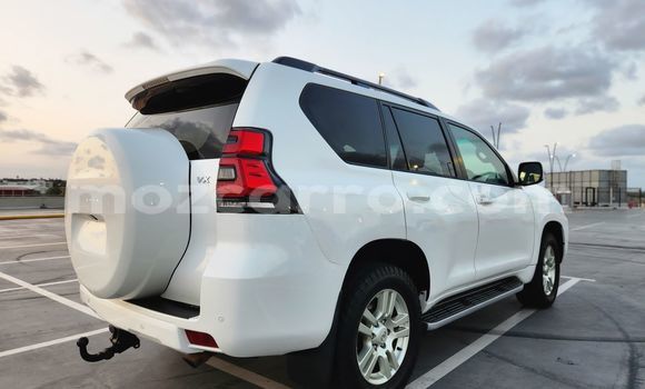 Comprar Novo Toyota Land Cruiser Prado Branco Carro em Maputo em Maputo Comprar Novo Toyota Land Cruiser Prado Branco Carro em Maputo em Maputo