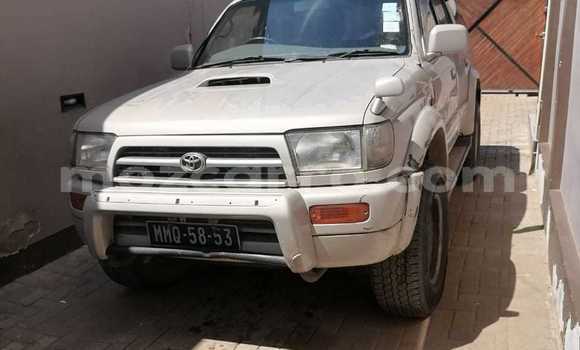 Nunua Ilio tumika Toyota Hilux Surf Nyingine Gari ndani ya Maputo nchini Maputo Nunua Ilio tumika Toyota Hilux Surf Nyingine Gari ndani ya Maputo nchini Maputo