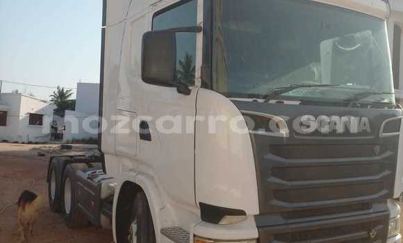 Buy Used Scania R420 White Truck in Maputo in Maputo Buy Used Scania R420 White Truck in Maputo in Maputo