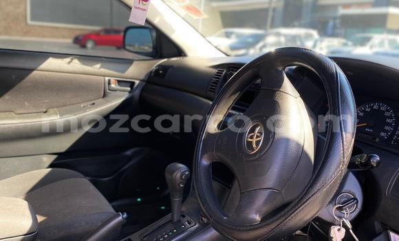 Buy Used Toyota Runx Silver Car in Maputo in Maputo Buy Used Toyota Runx Silver Car in Maputo in Maputo