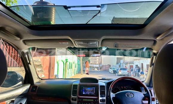 Comprar Usado Toyota Land Cruiser Prado De outros Carro em Maputo em Maputo Comprar Usado Toyota Land Cruiser Prado De outros Carro em Maputo em Maputo