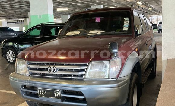 Buy Used Toyota Land Cruiser Prado Other Car in Maputo in Maputo Buy Used Toyota Land Cruiser Prado Other Car in Maputo in Maputo