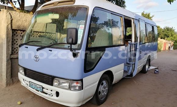 Tenga Tsaru Toyota Coaster Zvimwe Mota in Maputo in Maputo Tenga Tsaru Toyota Coaster Zvimwe Mota in Maputo in Maputo