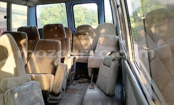 Tenga Tsaru Toyota Coaster Zvimwe Mota in Maputo in Maputo Tenga Tsaru Toyota Coaster Zvimwe Mota in Maputo in Maputo