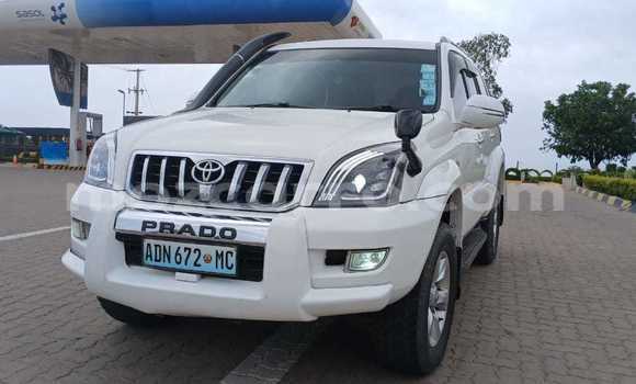 Buy Used Toyota Land Cruiser Prado White Car in Maputo in Maputo Buy Used Toyota Land Cruiser Prado White Car in Maputo in Maputo