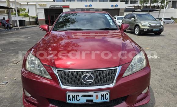 Comprar Usado Lexus IS Vermelho Carro em Maputo em Maputo Comprar Usado Lexus IS Vermelho Carro em Maputo em Maputo