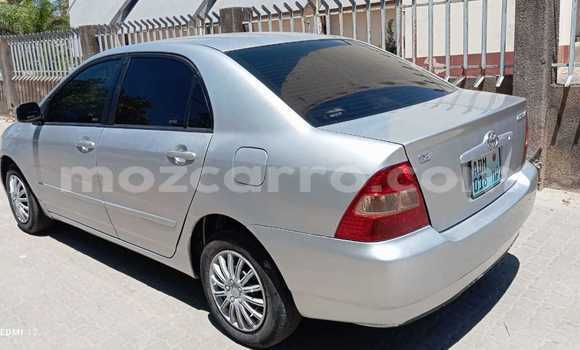 Tenga Tsaru Toyota Corolla Sirivha Mota in Maputo in Maputo Tenga Tsaru Toyota Corolla Sirivha Mota in Maputo in Maputo