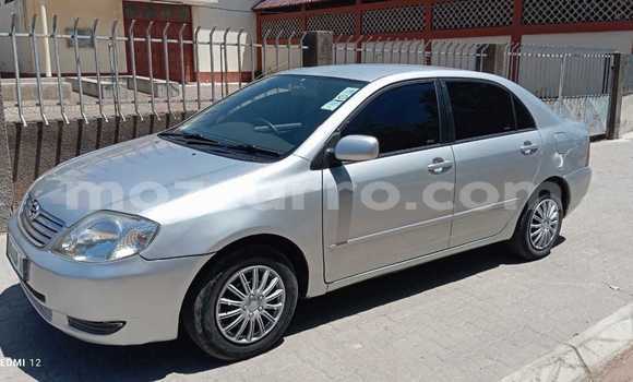 Tenga Tsaru Toyota Corolla Sirivha Mota in Maputo in Maputo Tenga Tsaru Toyota Corolla Sirivha Mota in Maputo in Maputo
