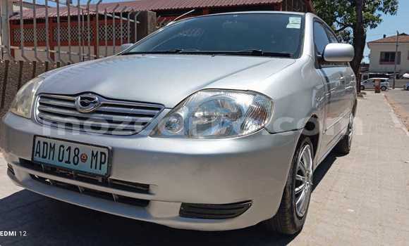 Tenga Tsaru Toyota Corolla Sirivha Mota in Maputo in Maputo Tenga Tsaru Toyota Corolla Sirivha Mota in Maputo in Maputo