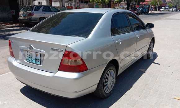 Tenga Tsaru Toyota Corolla Sirivha Mota in Maputo in Maputo Tenga Tsaru Toyota Corolla Sirivha Mota in Maputo in Maputo