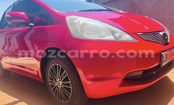 Tenga Tsaru Honda Fit Tsvuku Mota in Maputo in Maputo Tenga Tsaru Honda Fit Tsvuku Mota in Maputo in Maputo