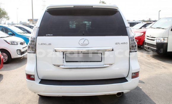 Comprar Importar Lexus GX Branco Carro em Import - Dubai em Cabo Delgado Comprar Importar Lexus GX Branco Carro em Import - Dubai em Cabo Delgado
