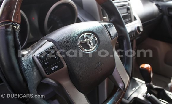 Buy Import Toyota Prado Other Car in Import - Dubai in Cabo Delgado Buy Import Toyota Prado Other Car in Import - Dubai in Cabo Delgado