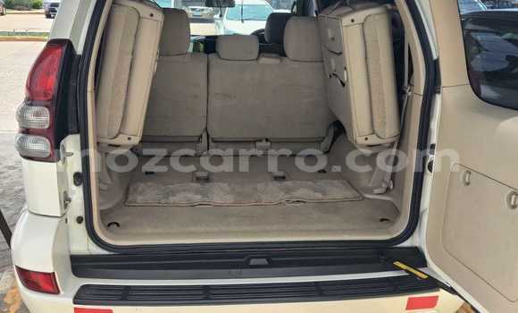 Tenga Tsaru Toyota Land Cruiser Prado Chena Mota in Maputo in Maputo Tenga Tsaru Toyota Land Cruiser Prado Chena Mota in Maputo in Maputo