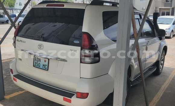 Tenga Tsaru Toyota Land Cruiser Prado Chena Mota in Maputo in Maputo Tenga Tsaru Toyota Land Cruiser Prado Chena Mota in Maputo in Maputo