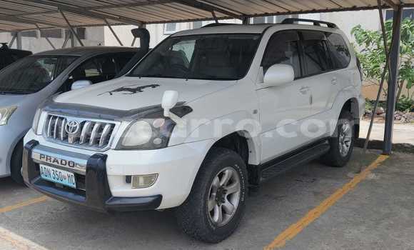 Tenga Tsaru Toyota Land Cruiser Prado Chena Mota in Maputo in Maputo Tenga Tsaru Toyota Land Cruiser Prado Chena Mota in Maputo in Maputo