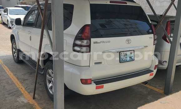 Tenga Tsaru Toyota Land Cruiser Prado Chena Mota in Maputo in Maputo Tenga Tsaru Toyota Land Cruiser Prado Chena Mota in Maputo in Maputo