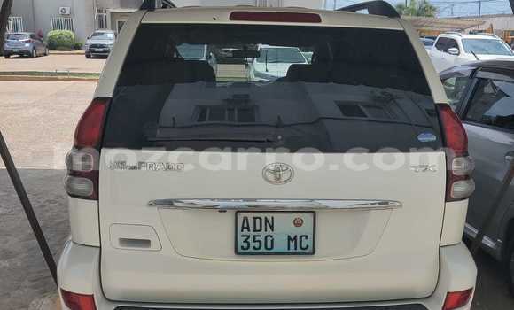 Tenga Tsaru Toyota Land Cruiser Prado Chena Mota in Maputo in Maputo Tenga Tsaru Toyota Land Cruiser Prado Chena Mota in Maputo in Maputo