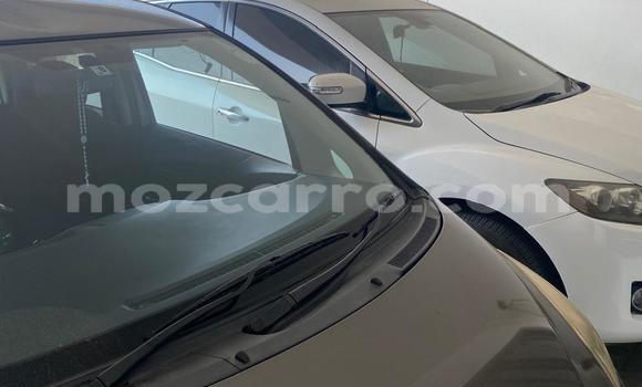 Buy Used Toyota Ractis Brown Car in Maputo in Maputo Buy Used Toyota Ractis Brown Car in Maputo in Maputo