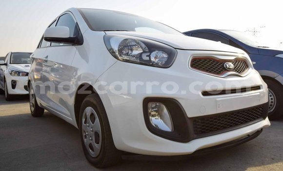 Comprar Importar Kia Picanto Branco Carro em Import - Dubai em Cabo Delgado Comprar Importar Kia Picanto Branco Carro em Import - Dubai em Cabo Delgado