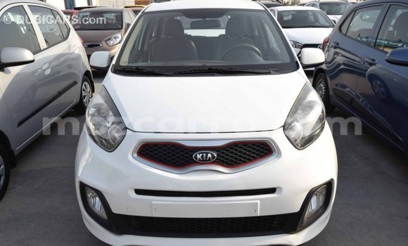 Comprar Importar Kia Picanto Branco Carro em Import - Dubai em Cabo Delgado Comprar Importar Kia Picanto Branco Carro em Import - Dubai em Cabo Delgado