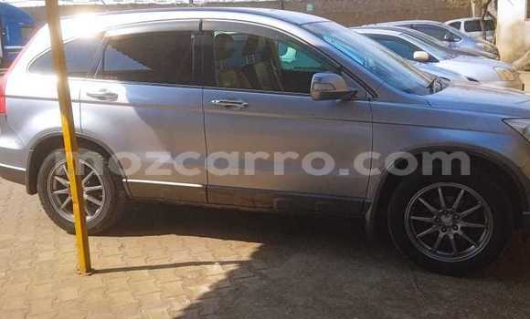 Tenga Tsaru Honda CR-V Zvimwe Mota in Maputo in Maputo