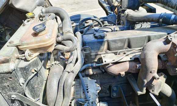 Buy Used Nissan UD White Truck in Maputo in Maputo Buy Used Nissan UD White Truck in Maputo in Maputo