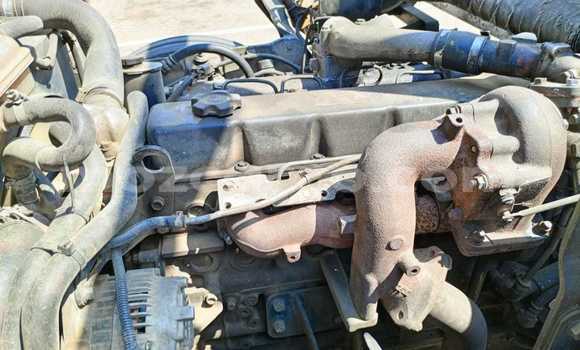 Buy Used Nissan UD White Truck in Maputo in Maputo Buy Used Nissan UD White Truck in Maputo in Maputo