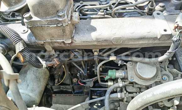 Buy Used Nissan UD White Truck in Maputo in Maputo Buy Used Nissan UD White Truck in Maputo in Maputo