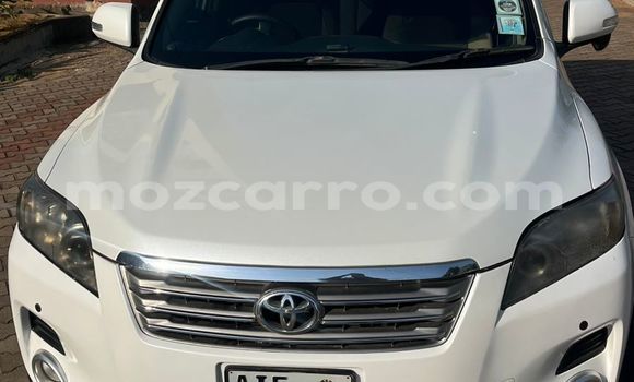 Tenga Tsaru Toyota Vanguard Chena Mota in Maputo in Maputo Tenga Tsaru Toyota Vanguard Chena Mota in Maputo in Maputo