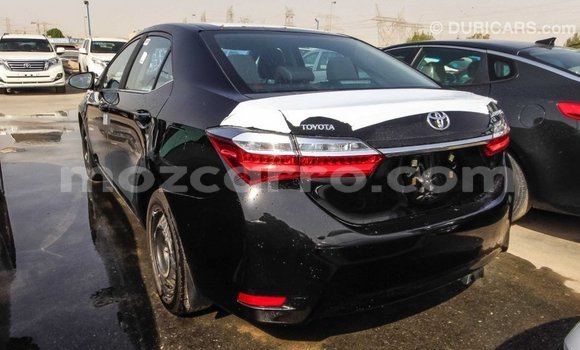 Buy Import Toyota Corolla Black Car in Import - Dubai in Cabo Delgado Buy Import Toyota Corolla Black Car in Import - Dubai in Cabo Delgado