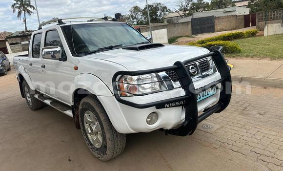 Comprar Usado Nissan Hardbody Branco Carro em Maputo em Maputo Comprar Usado Nissan Hardbody Branco Carro em Maputo em Maputo