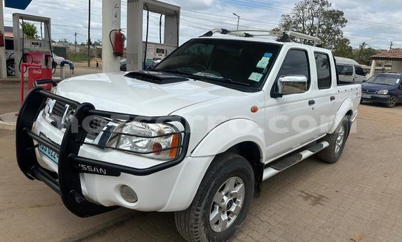 Comprar Usado Nissan Hardbody Branco Carro em Maputo em Maputo Comprar Usado Nissan Hardbody Branco Carro em Maputo em Maputo