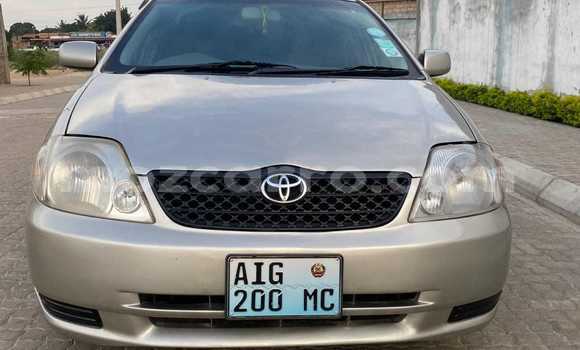 Comprar Usado Toyota Corolla De outros Carro em Maputo em Maputo Comprar Usado Toyota Corolla De outros Carro em Maputo em Maputo