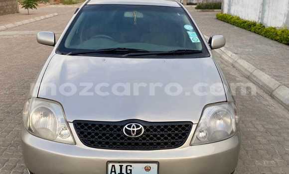 Tenga Tsaru Toyota Corolla Zvimwe Mota in Maputo in Maputo Tenga Tsaru Toyota Corolla Zvimwe Mota in Maputo in Maputo