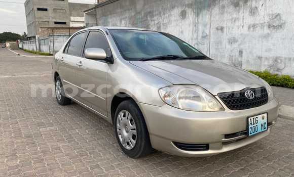 Tenga Tsaru Toyota Corolla Zvimwe Mota in Maputo in Maputo Tenga Tsaru Toyota Corolla Zvimwe Mota in Maputo in Maputo