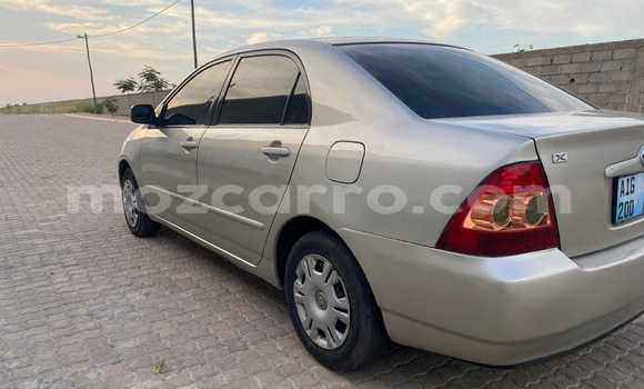 Tenga Tsaru Toyota Corolla Zvimwe Mota in Maputo in Maputo Tenga Tsaru Toyota Corolla Zvimwe Mota in Maputo in Maputo